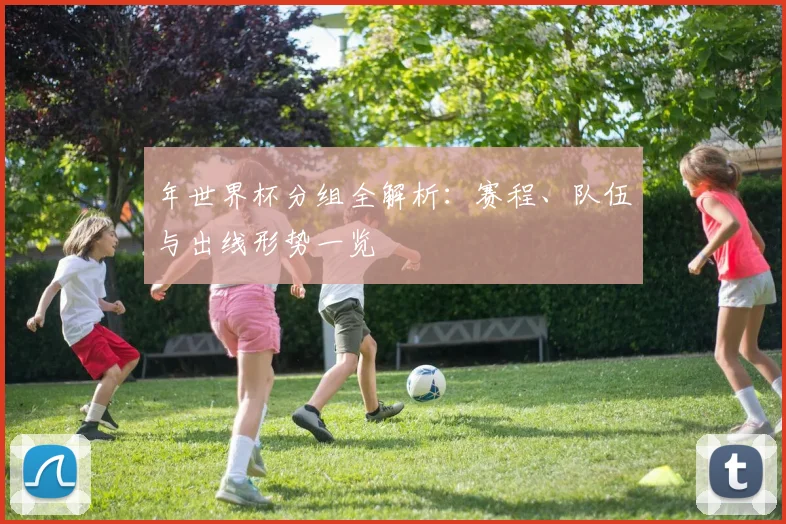 年世界杯分组全解析：赛程、队伍与出线形势一览